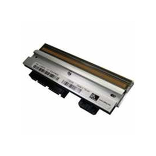 rose_0010_thermodruckkopf-zebra-110xi4