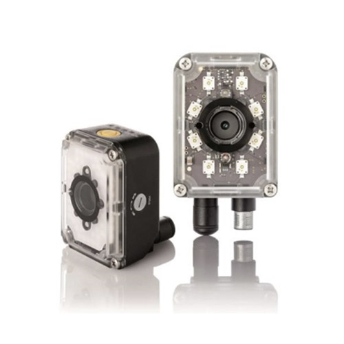 rose_0023_p-series_338