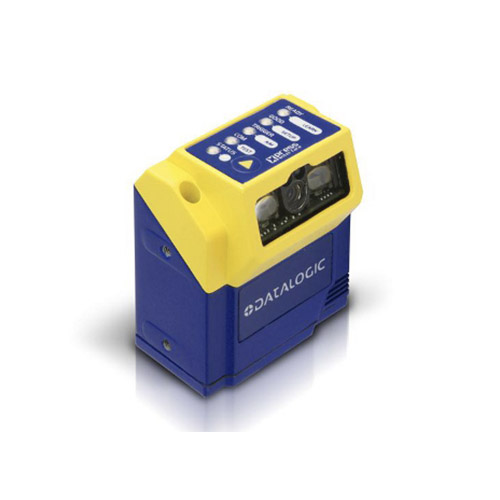 rose_0039_matrix_210_338